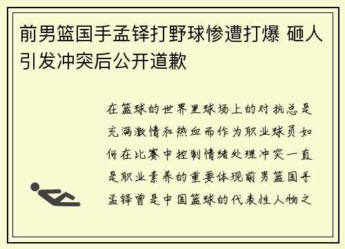 前男篮国手孟铎打野球惨遭打爆 砸人引发冲突后公开道歉